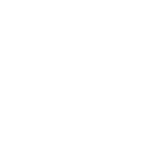 boscov's logo